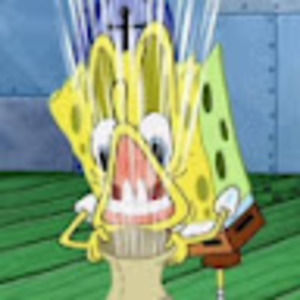 Meet your Posher, Ben